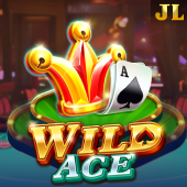 Wild Ace at Juan360